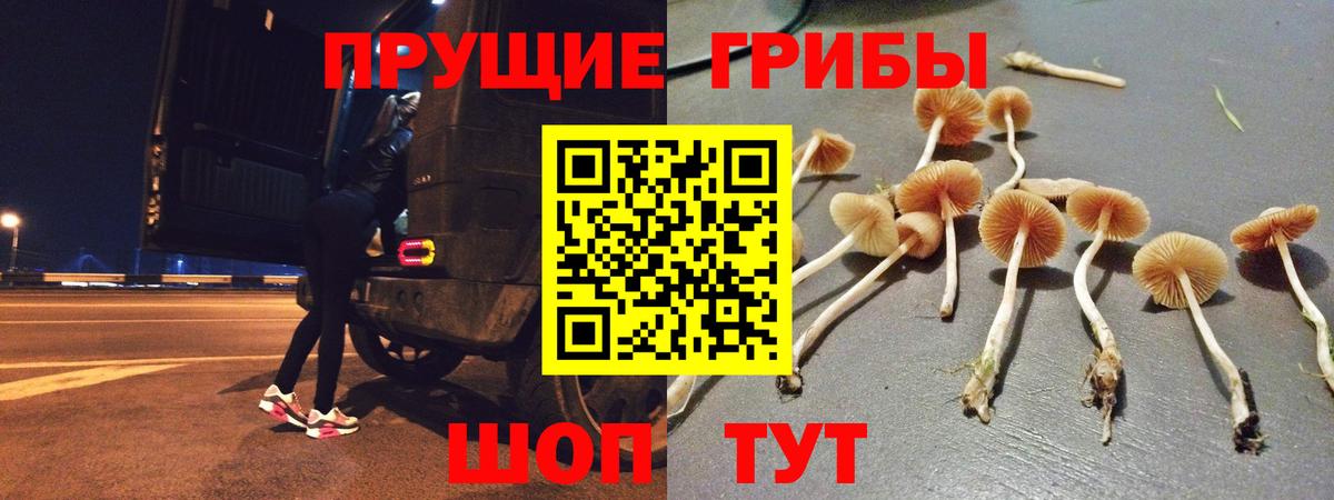 Славянск-на-Кубани  Псилоцибиновые грибы Psilocybe  Вход с VPN 
