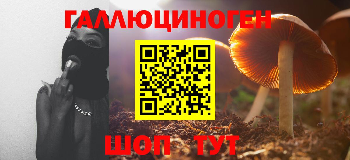 Галлюциногенные грибы мицелий Славянск-на-Кубани